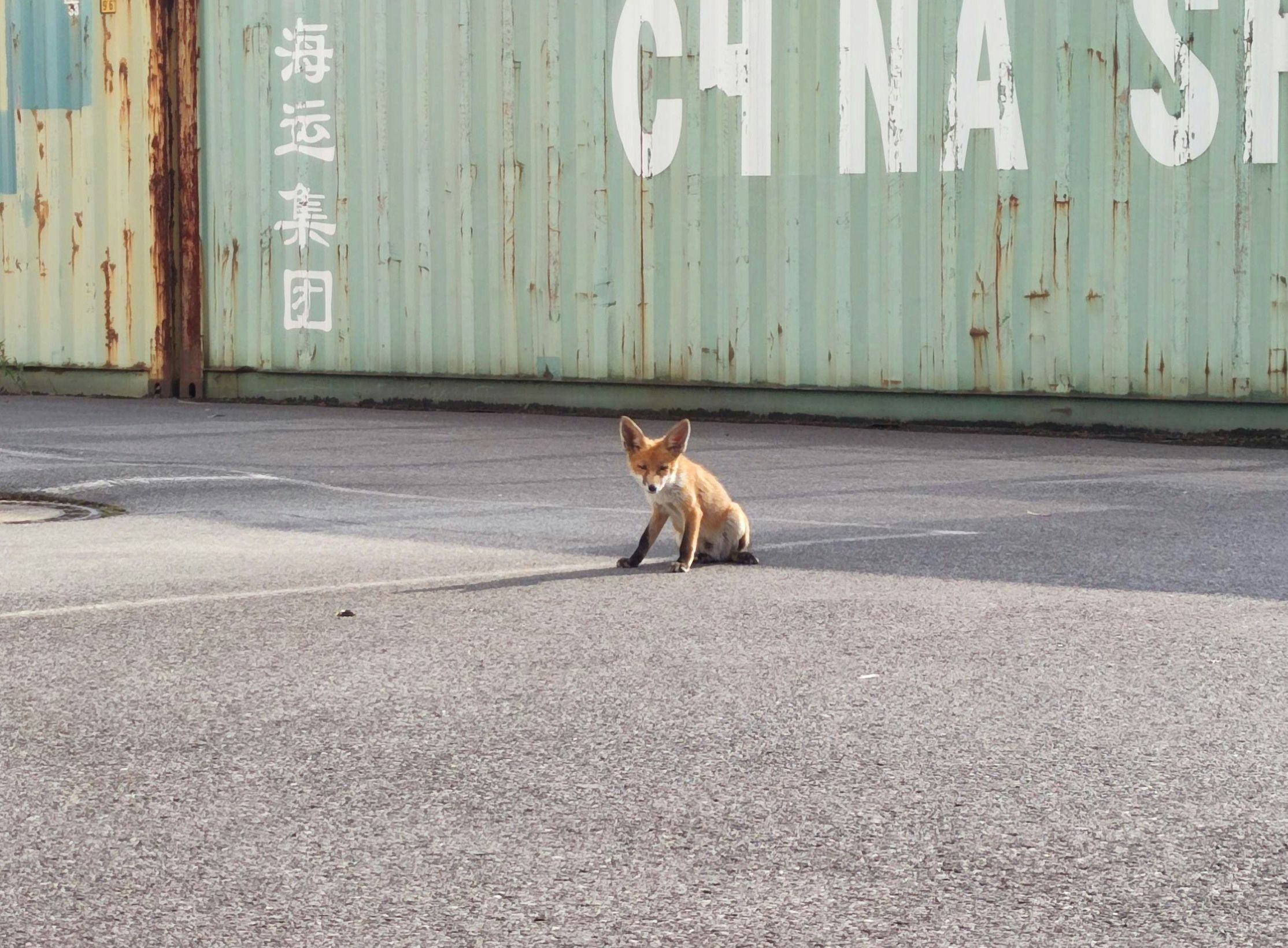 Risikomanagement in der Natur