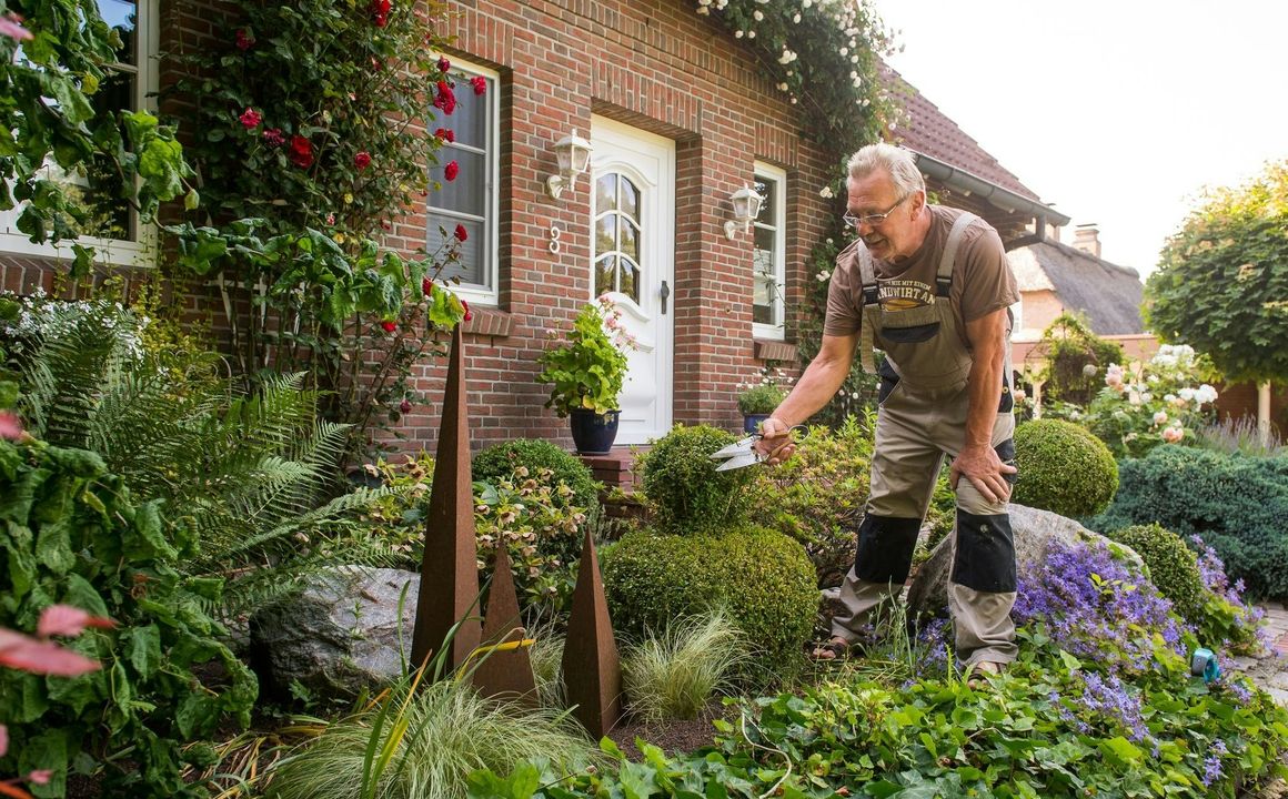 Gartenkalender: Jetzt ab in den Vorgarten