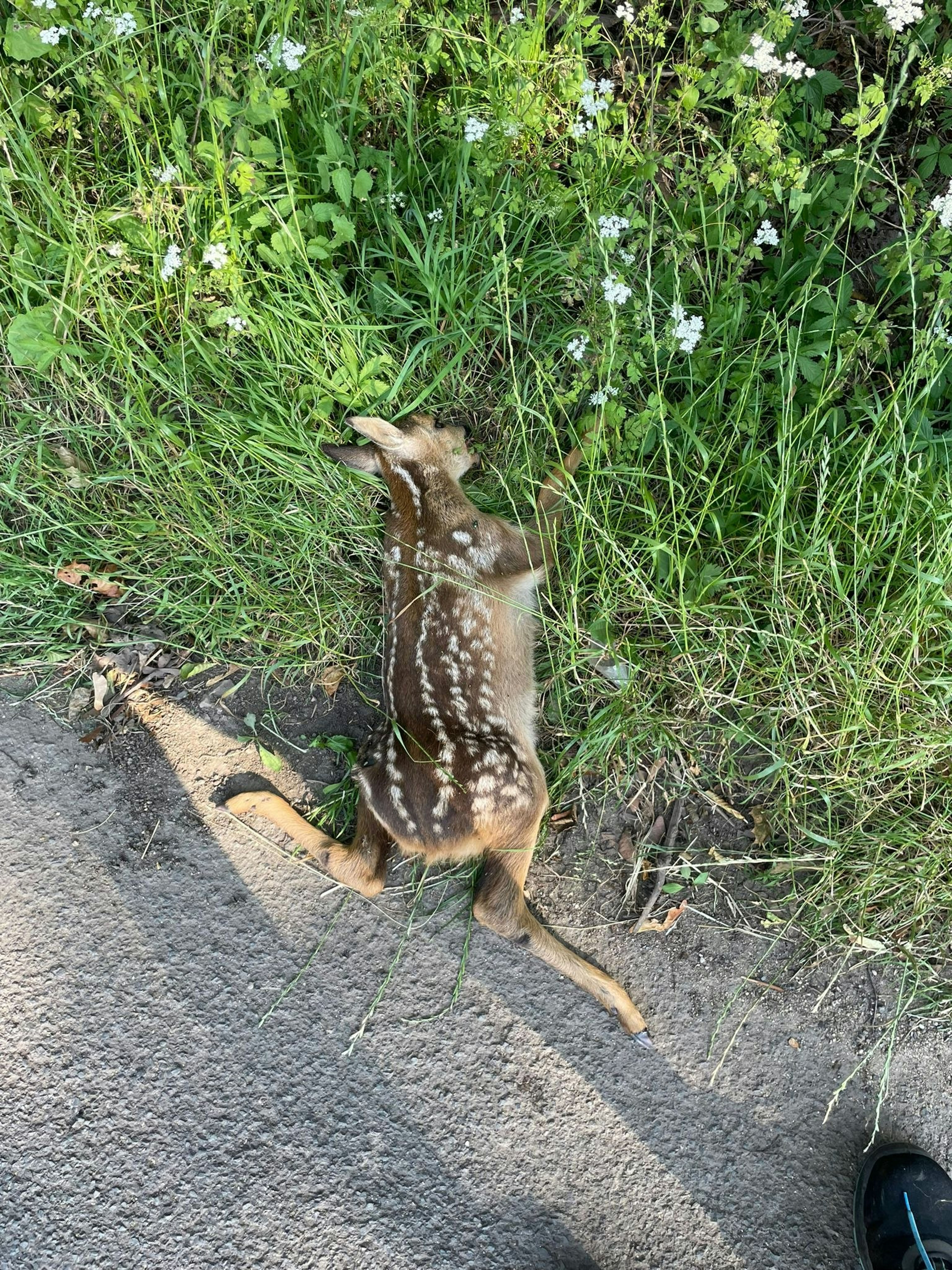 „So häufig habe ich es noch nicht erlebt“