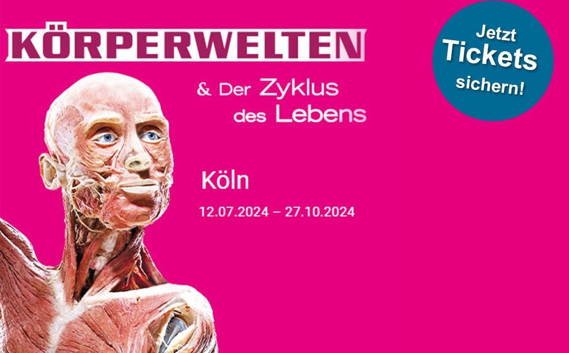 KÖRPERWELTEN & der Zyklus des Lebens