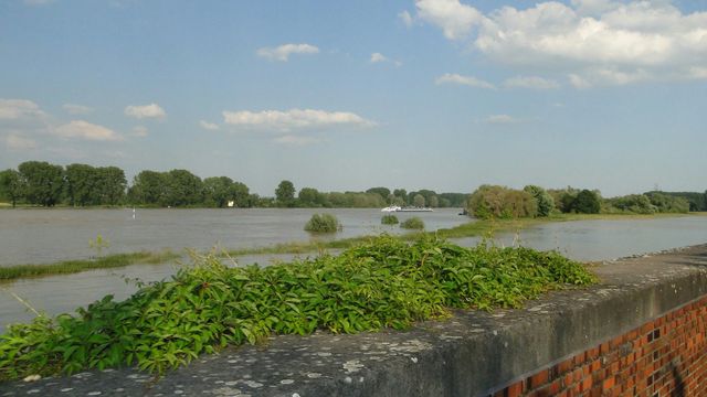 171 Kilometer rund um Köln