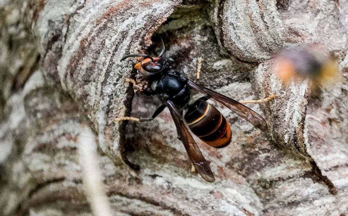 Stadt bittet um Hilfe