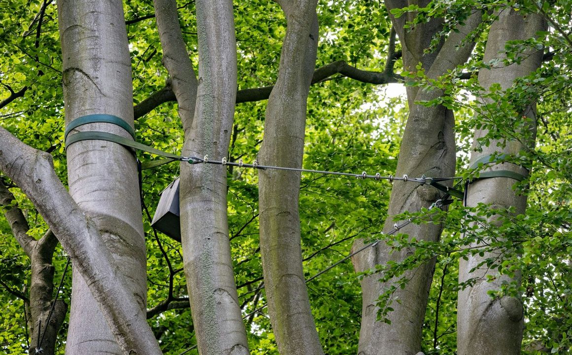 Muskauer Park
