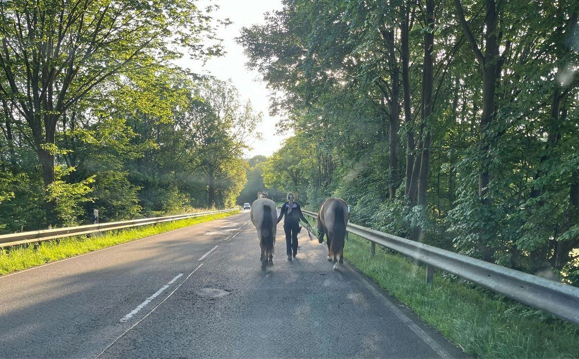 Im Berufsverkehr