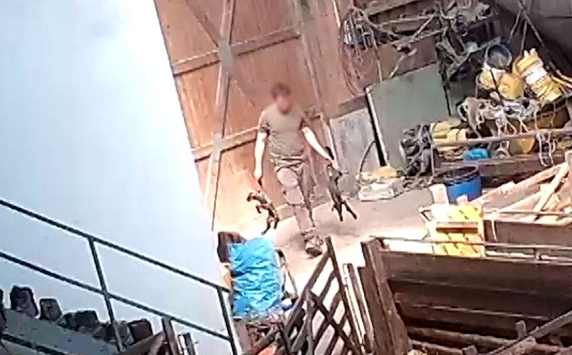 Illegales Schächten