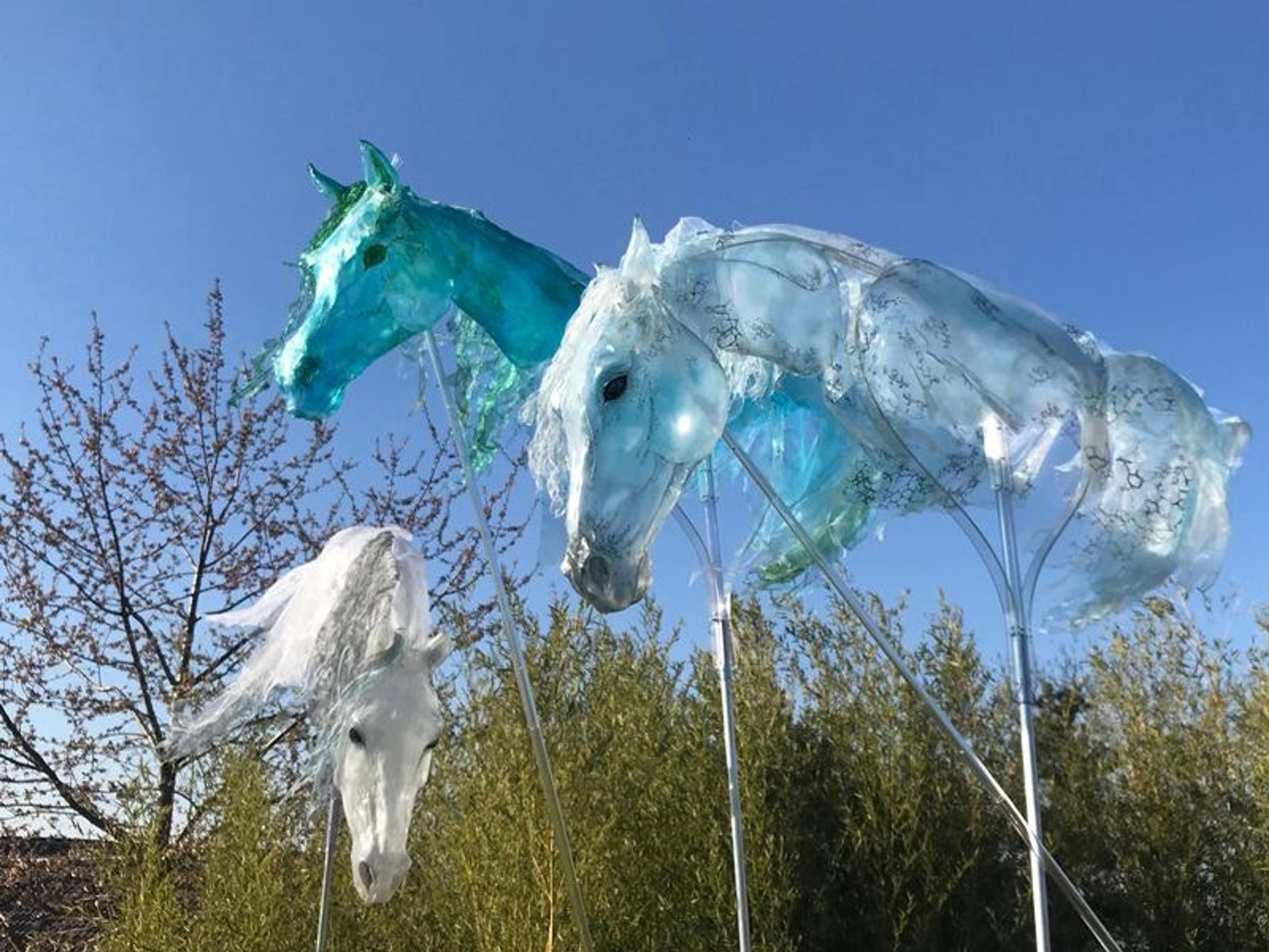 Erlebnis-Gewinnspiel