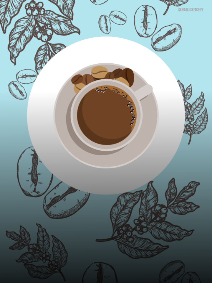 Zusammenfassung der qualitativsten Magenfreundliche kaffeebohne