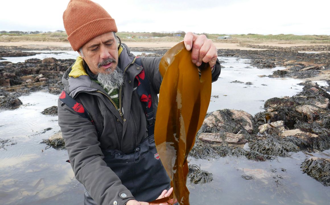 Linguine aus dem Meer