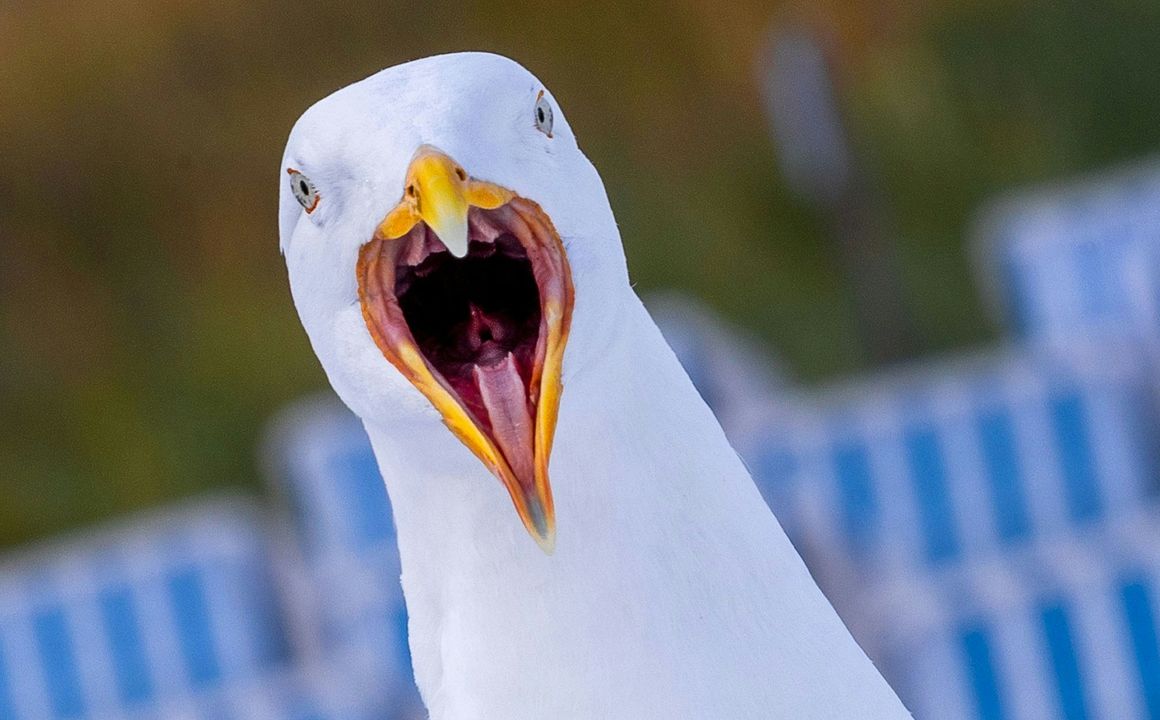 Bilder des Tages