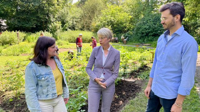 Kartoffelpflege inmitten der hohen Politik